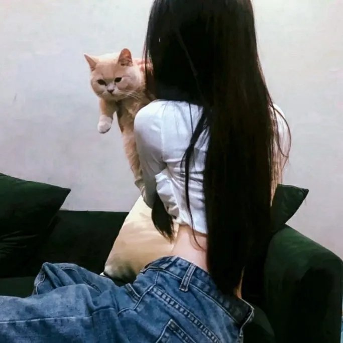 请君